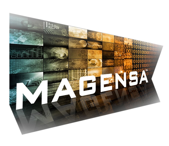 Magensa Software and Services Magensa Services